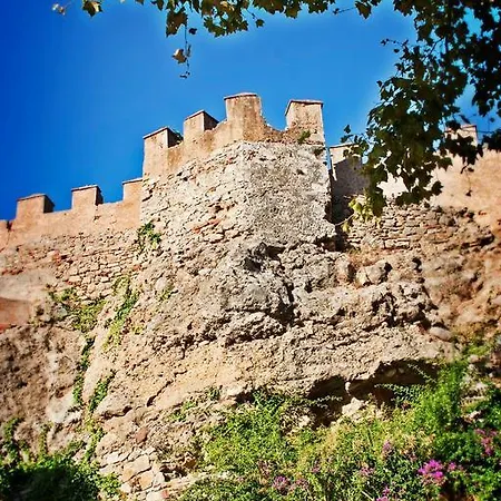 The Carpenter's Boutique Marbella